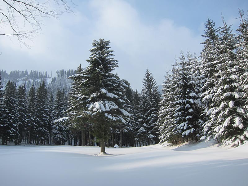 Kuhschneeberg